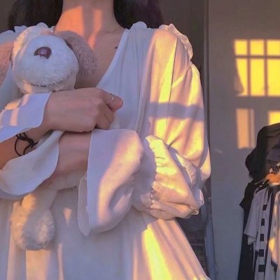 傲骨贤妻第七季